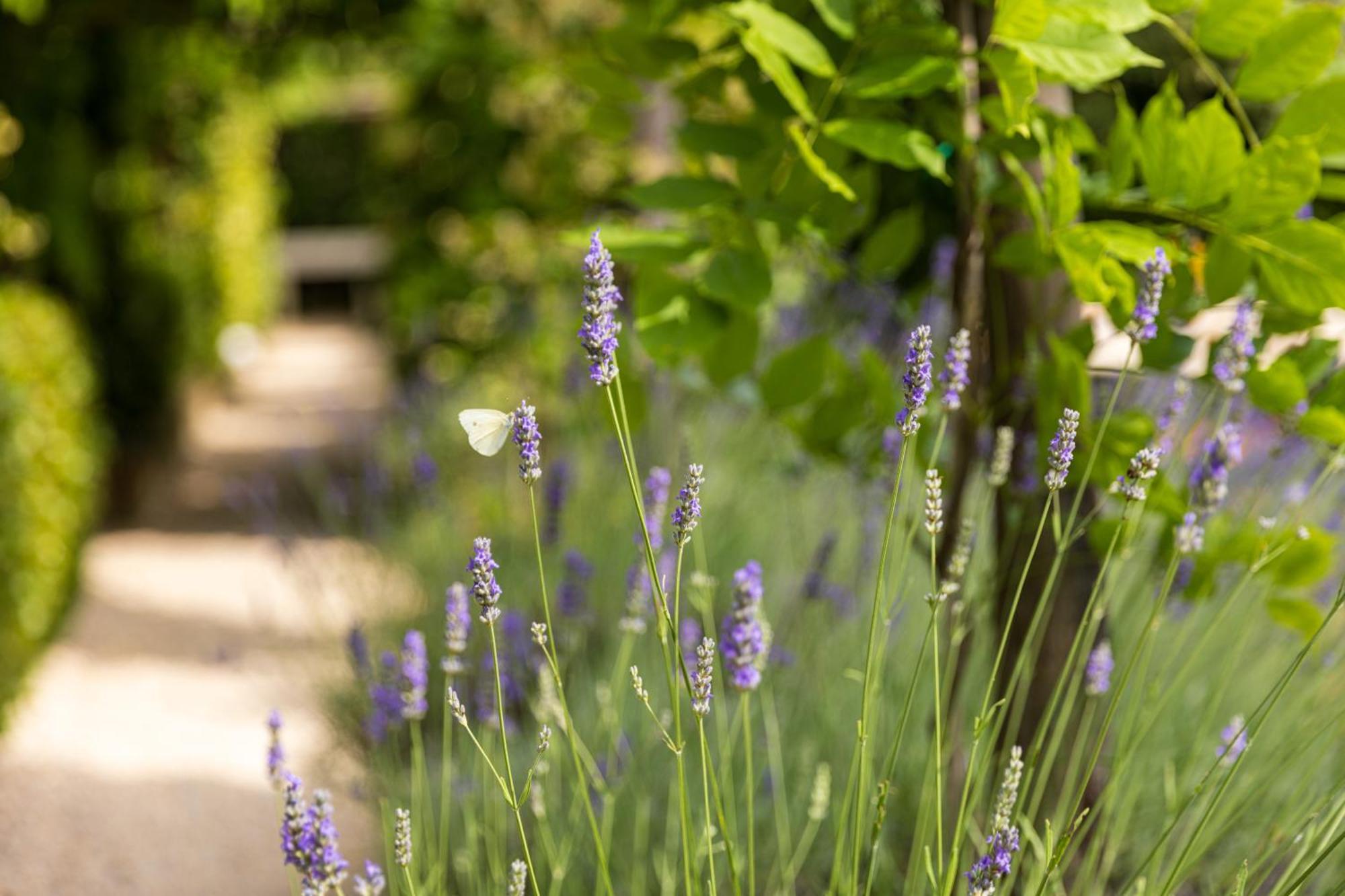 Hotel Palazzo Del Capitano Wellness & Relais - Luxury Borgo Capitano Collection San Quirico dʼOrcia Exterior foto